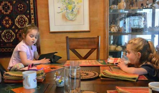 Orla and Georgia 4 1/2 year old twin biped girls from UK