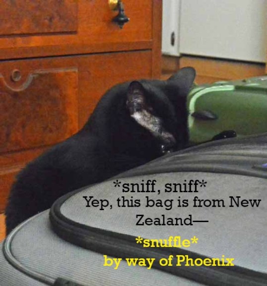 SPT's in house luggage inspector