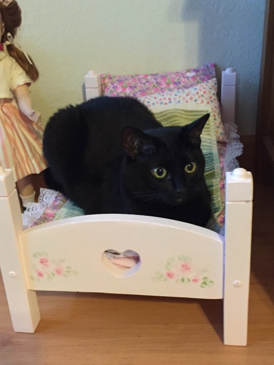 What'cha mean? This isn't for me!!