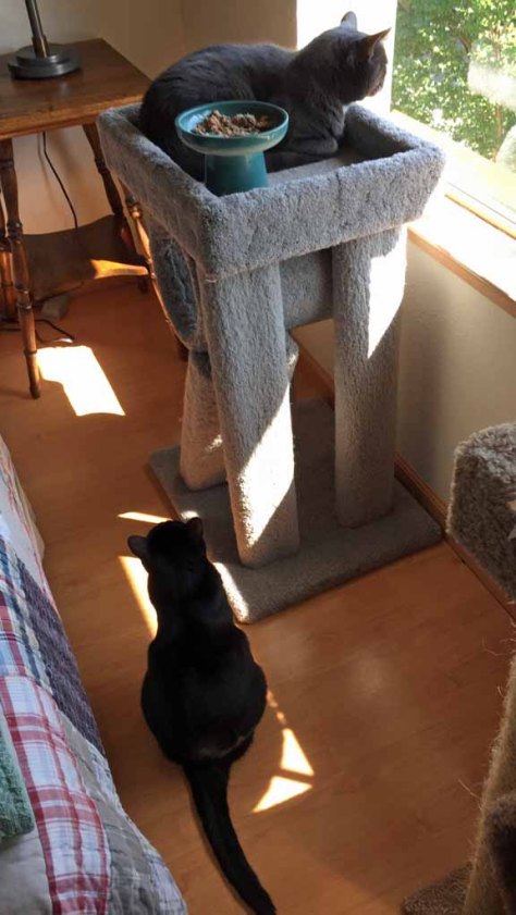 Please YRH Savannah! Can I have just a nibble or one large slurp???