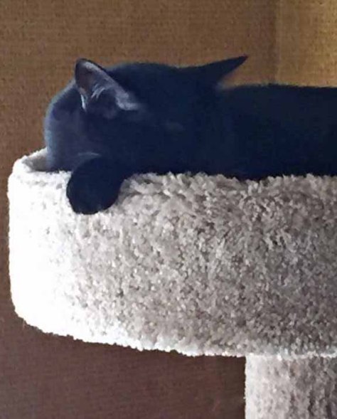 *ahhhh* cool breeze & Ms Sun shining in just right