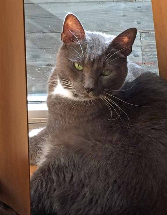 Now I am usin' my "Savvy look"—will Mom L get my message?