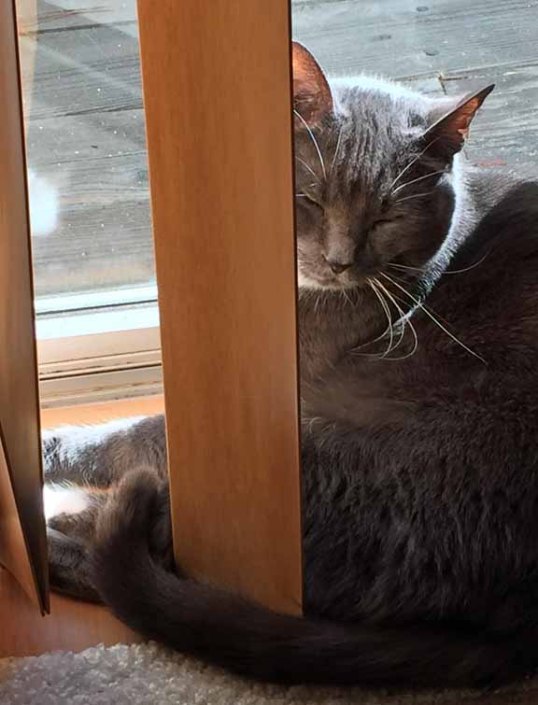 I'm outta here—don't let the door hit your bum on the way out Mom L