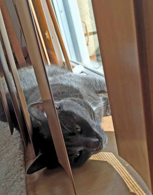 Is it wrong to luvluvluv vertical blinds?