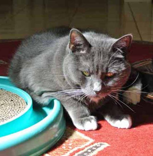 Wonder why I hung out here for a couple of hours each day and none at all now?