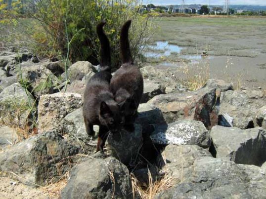 I love you—I love you more—I love you to the moon and back