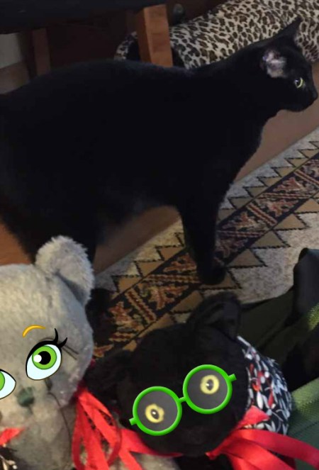 Not pretty maybe but kind's funny