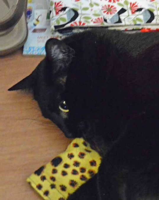 Mine, Mine, Mine—all Mine!