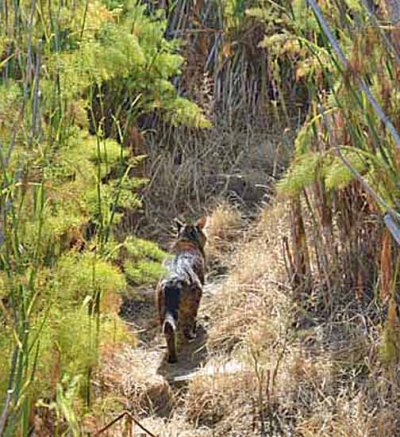 I have to do everything for you guys!