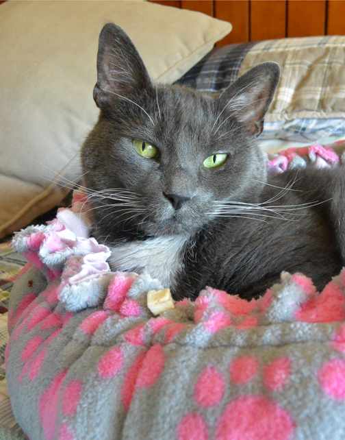 Really? Please take it away