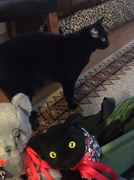 What is wrong with this photo?