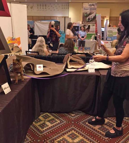 Summer teaches her human