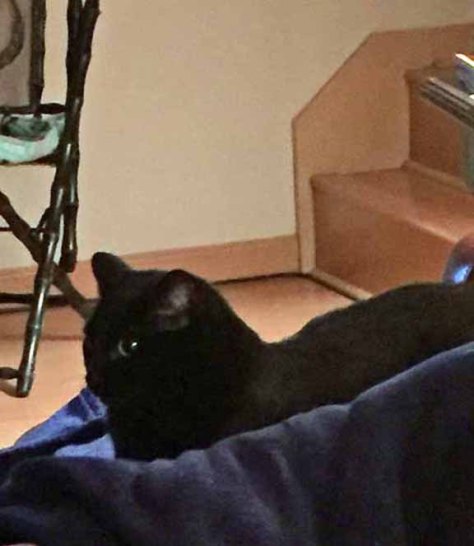 I'm sure she doesn't suspect I am watchin' her