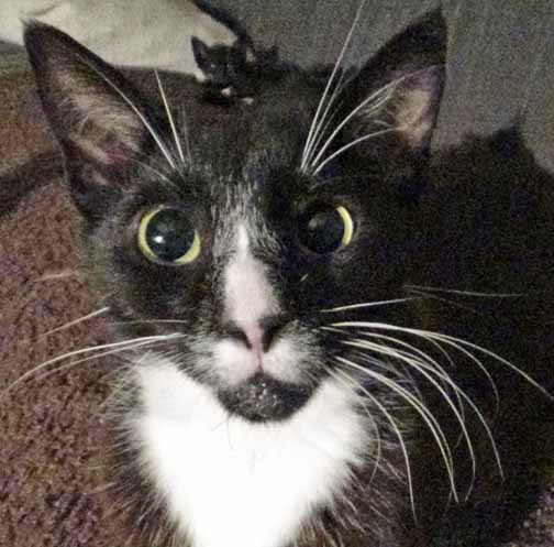 A mysterious guest Sunday Selfie