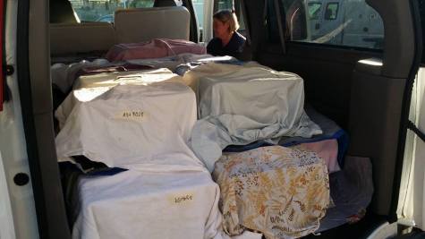 Forty kittes off for S/N