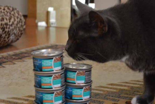 *sniff* Why is Mom L getting down so close to me?