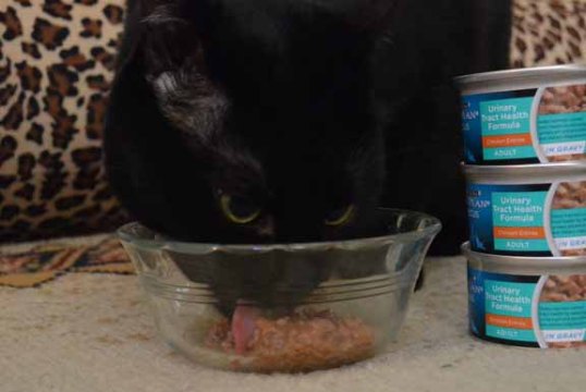 Can you tell this is TKS?? Why??