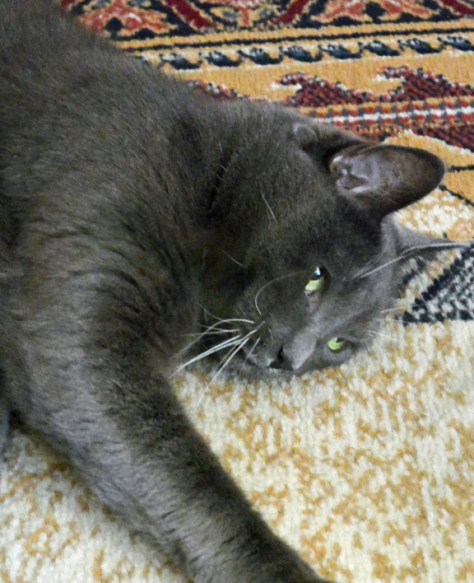 Ummm...I may have hurt myself with that last sprint