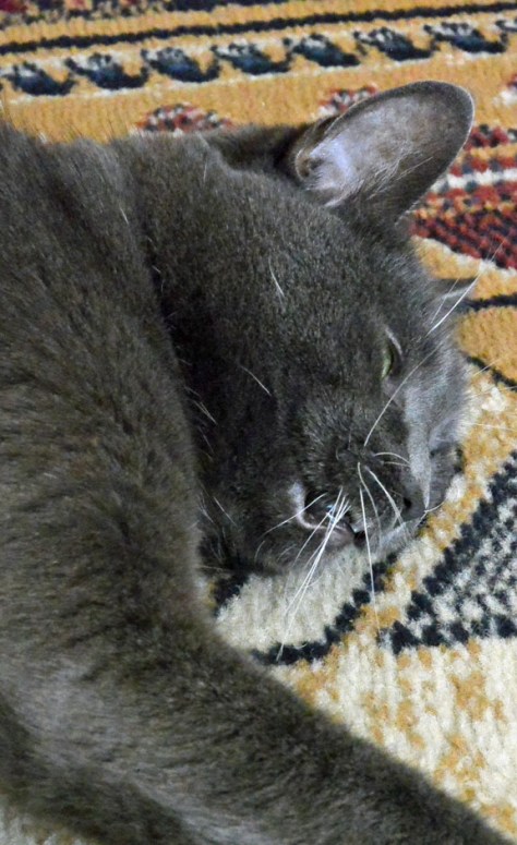 Whew! I gotta get more fit!!