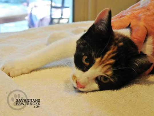 Let's get this part over with, OK?