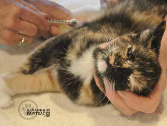 hey Doc, how's about we trade places!