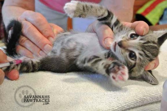 You're gonna do what to me??!!