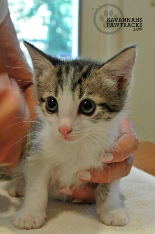 Ok, why is everyone staring at me??