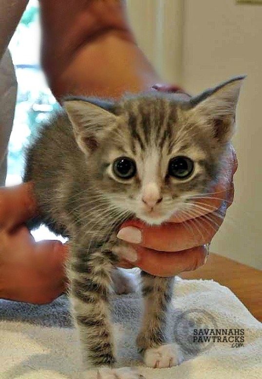 Ummm...I'm a bit scared and not feeling so well, ya' know?