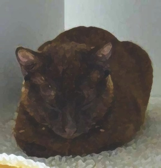 No, I don't really wanna talk about my past please