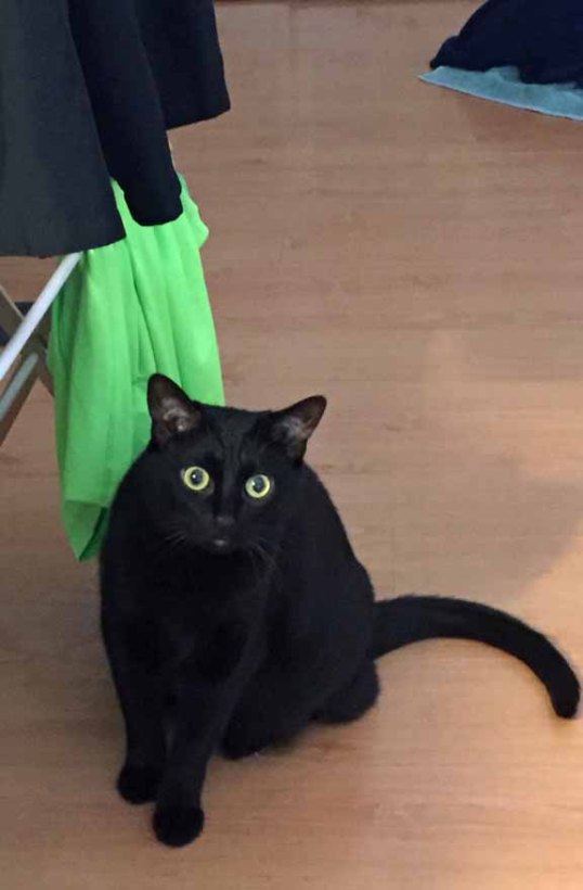 What? Me? Nope, not at all. I was just admiring the color