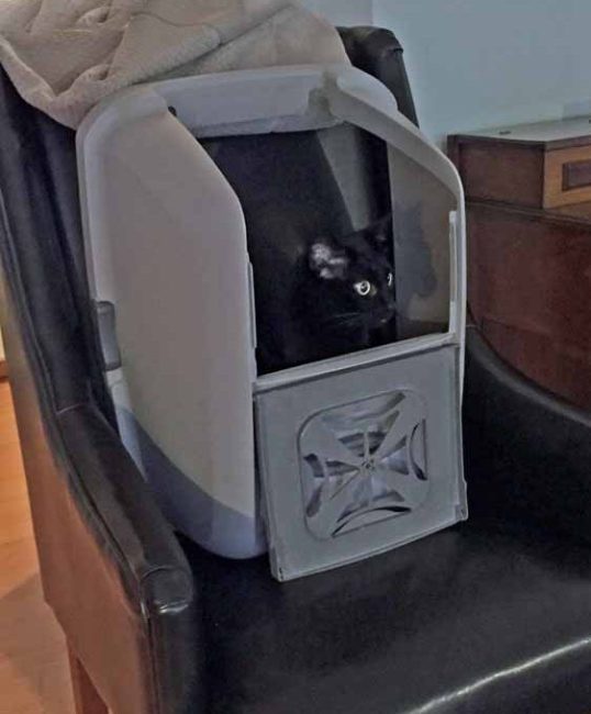 Wow! I bet this baby can really pick up some speed!