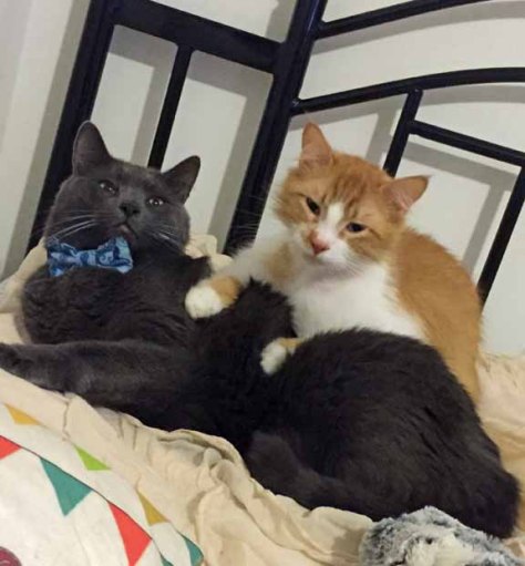 Hey Mom Devon!! Look at us!! We are famous!!