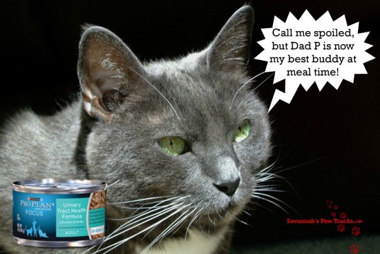 Nana loves her Dad P