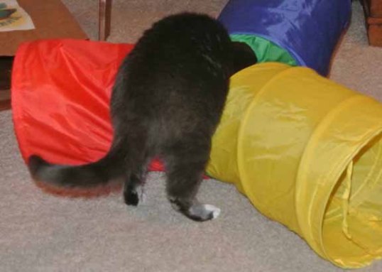 *tink, tink* I can't get this alternate universe system to do a return trip!