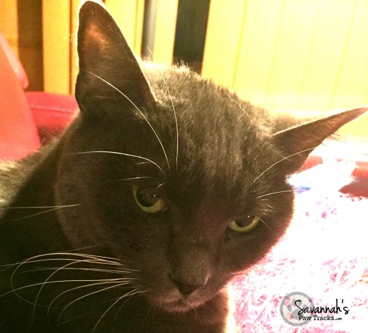 Well my eyes are there but that over exposure!!