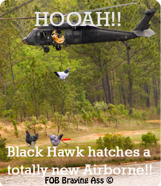 Airborne is not Chik-hen