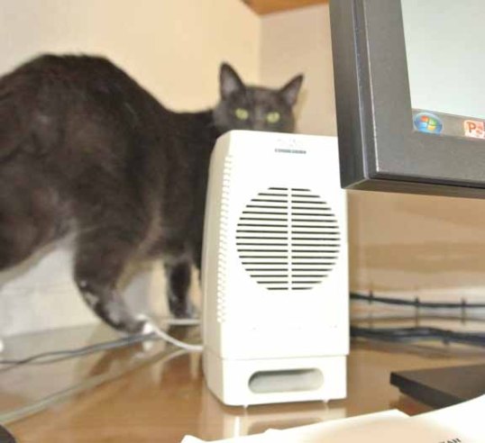 Hey Mom L...I thought this was a private tour!