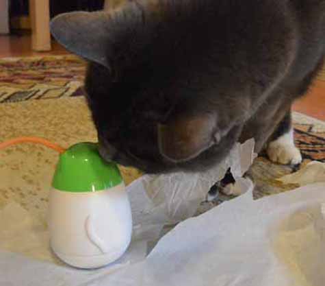 *sniff* hmmm...not so sure about this one Mom L