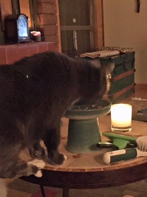 If peeps can dine by candle light, why not me?