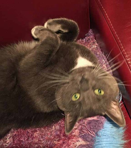 And because I trust you, I give you my heart