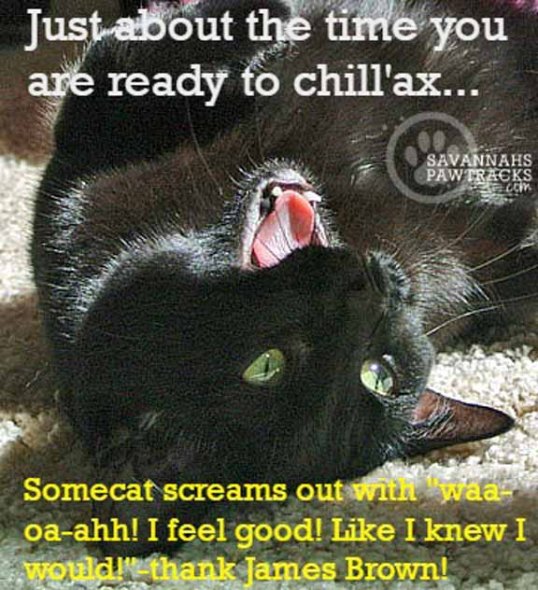 TKS takes on James brown