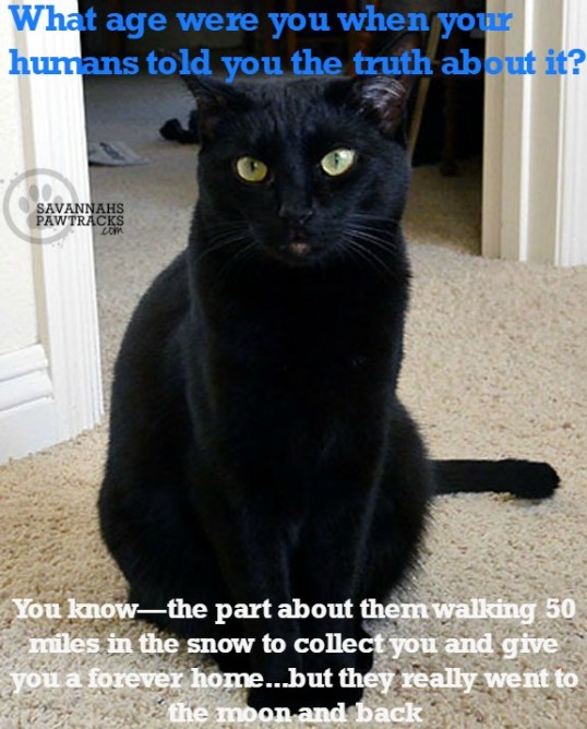 tks-learns-the-truth