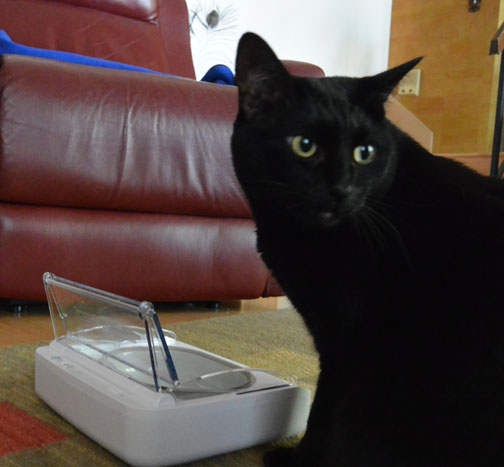 Where's the food Mom L?