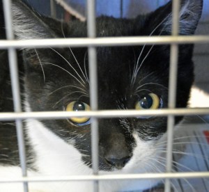 what did I do wrong?