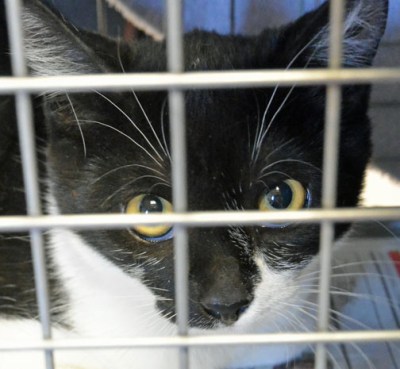 what did I do wrong?