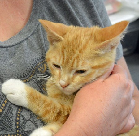 Can't I just go back to sleep please!