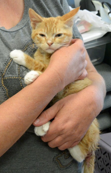 Ok guys, take you photos so I can get back to my nap