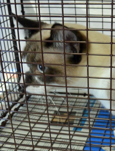 Can I go home with you?