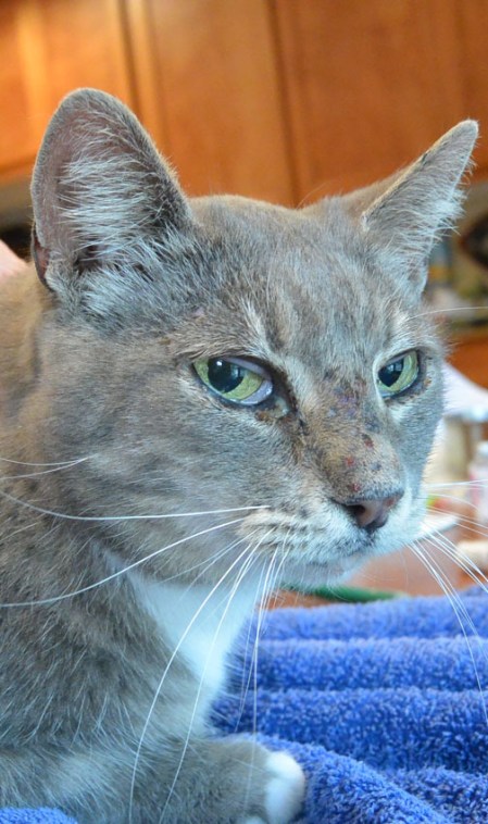 I am sorry if I got older and could not keep my health