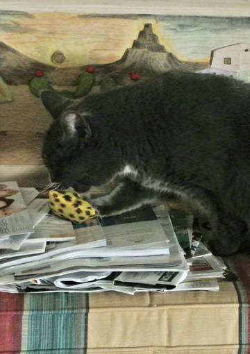 Here you are!! You can't hide from me!